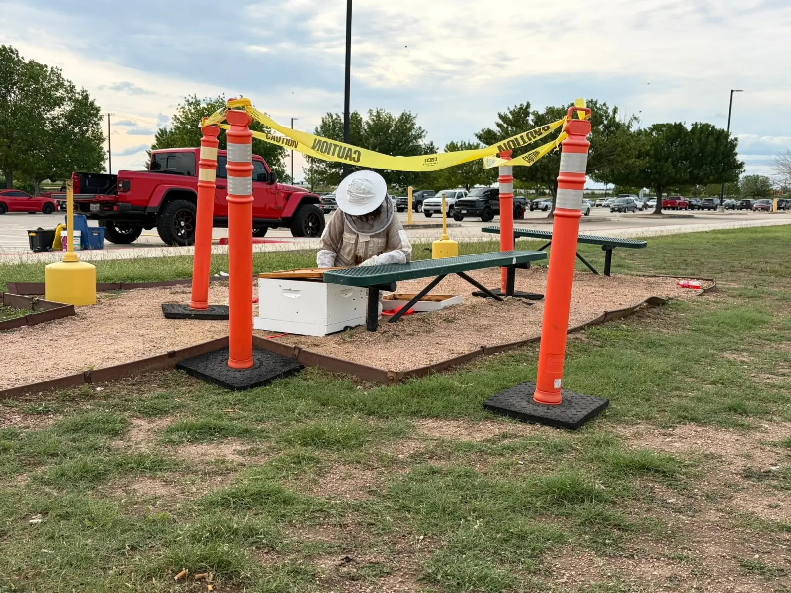 Chantel Bowdoin performing a live bee removal at a public site in Texas