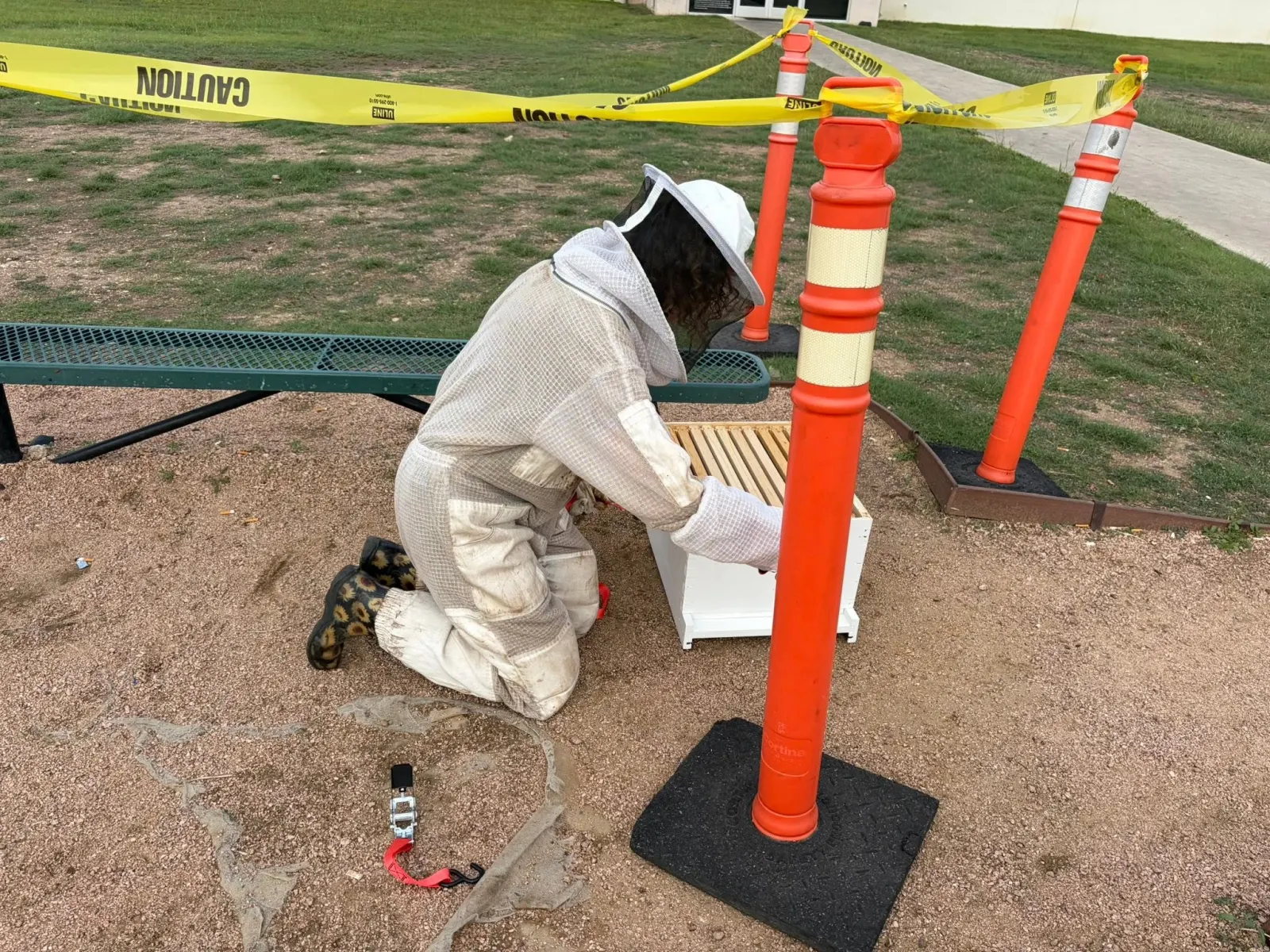 Chantel Bowdoin suited up, relocating a colony into a hive box during a bee removal in Texas