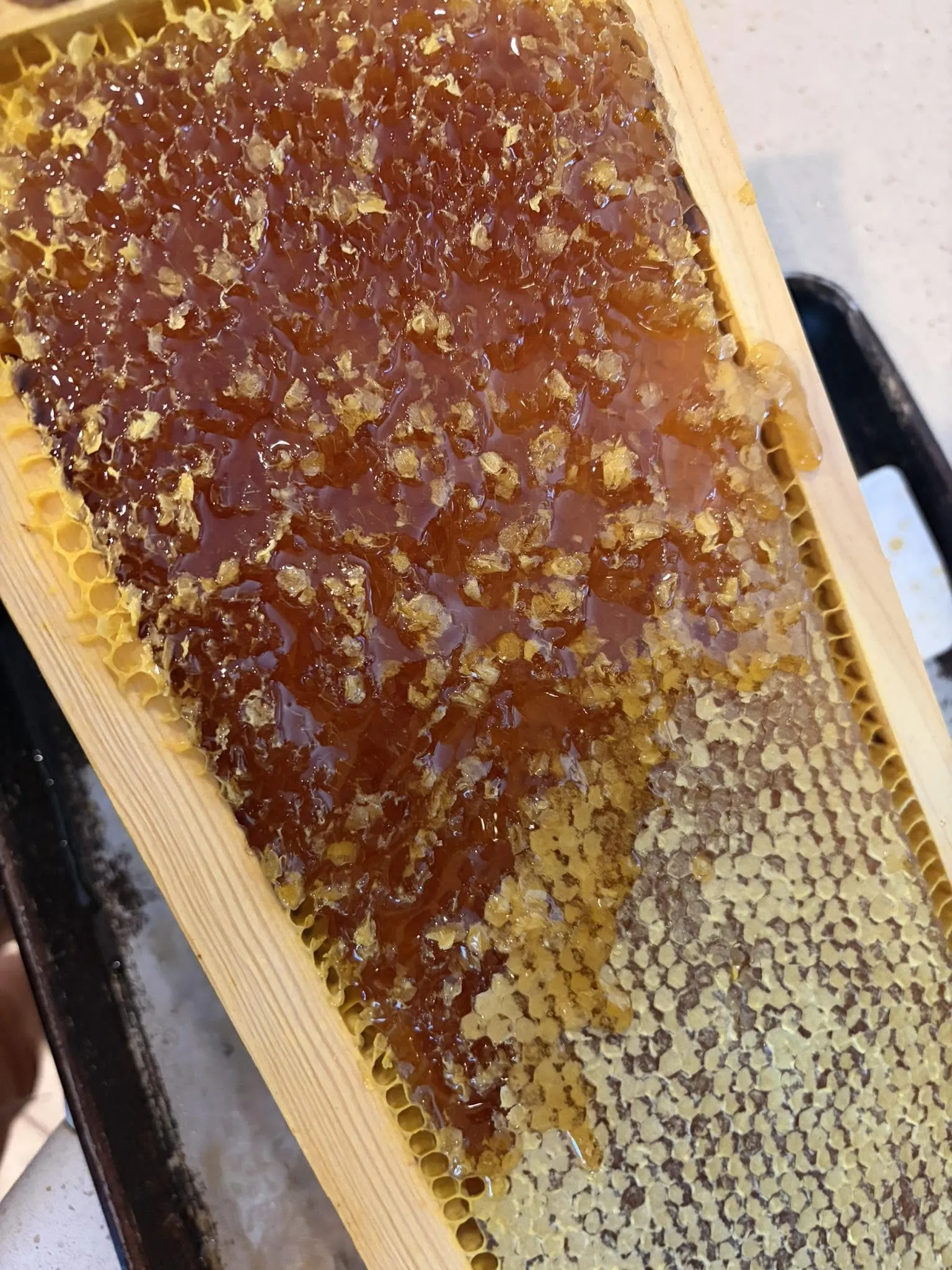 A freshly uncapped honeycomb frame dripping with raw honey at 6B's Ranch in Texas