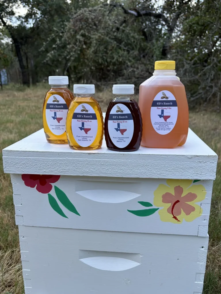 6B's Ranch honey bottles lined up on a hand-painted beehive at the apiary, showing San Antonio and Blanco honey side by side