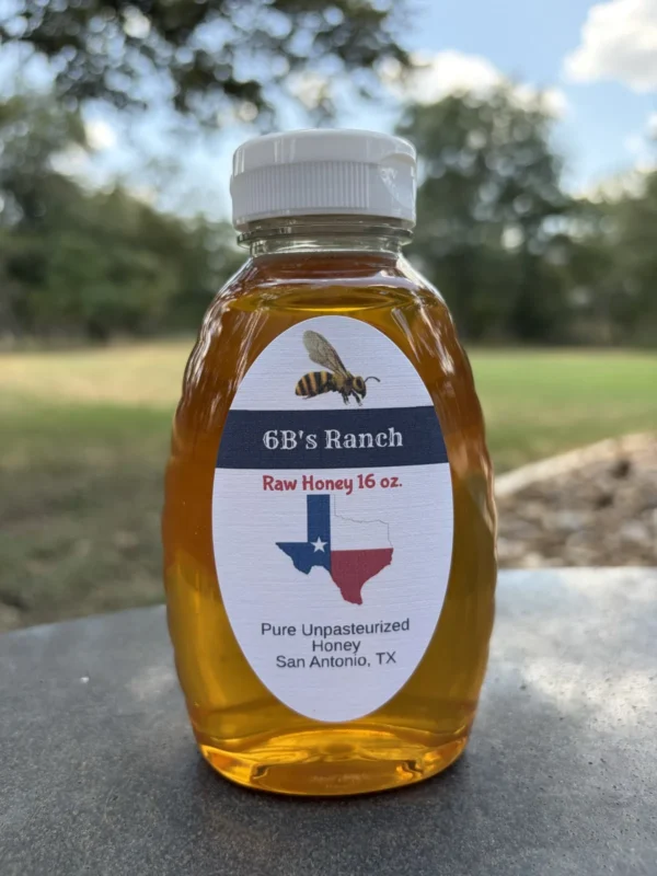 6B's Ranch 16 oz San Antonio raw honey bottle